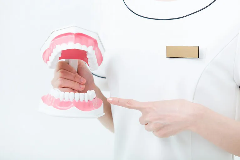 歯を失う原因第1位の歯周病です。宝塚の安福歯科医院では、歯周病治療に力を入れています。