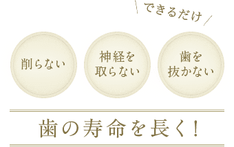 できるだけ歯の寿命を長く