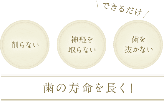 できるだけ歯の寿命を長く